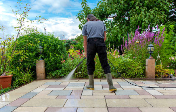 Best Fence Cleaning  in Port Vue, PA